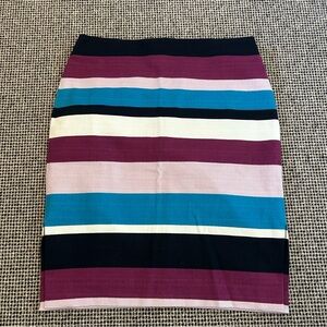 Striped Multicolor Women's Skirt